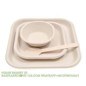 Compostable Sugarcane Bagasse Paper Round Plates 9 Inch 9" Greaseproof And