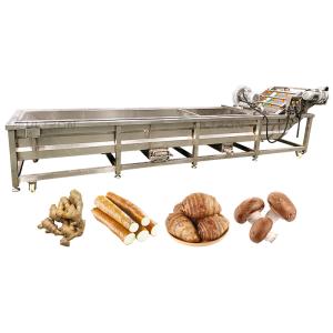 Water Saving 500kg Per Hour Vegetable and Fruit Avocado Garlic Tomato Pomegranat