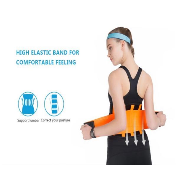Weight Loss Waist Support Belt Full Elastic Relieve Lumbar Pain / Fatigue