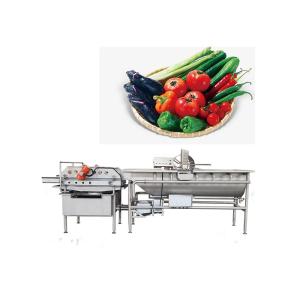 Customizable Vortex Fruit And Vegetable Cleaner Machine Leaves Cleanning