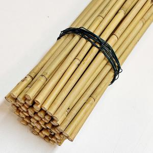 10cm Raw Bamboo Poles
