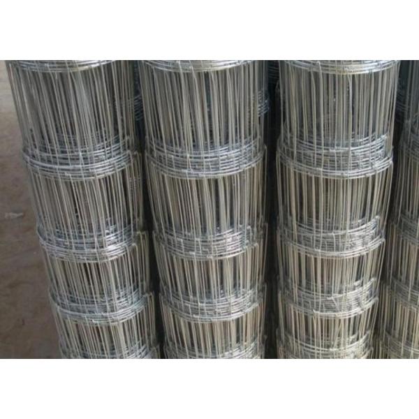 Quality Galvanized Hinge Joint Page Wire 2.5mm Farm Field Fence Livestock Prevent wholesale