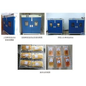 26 Basket Ultra Low Temp 93.6L Blood Bank Fridge