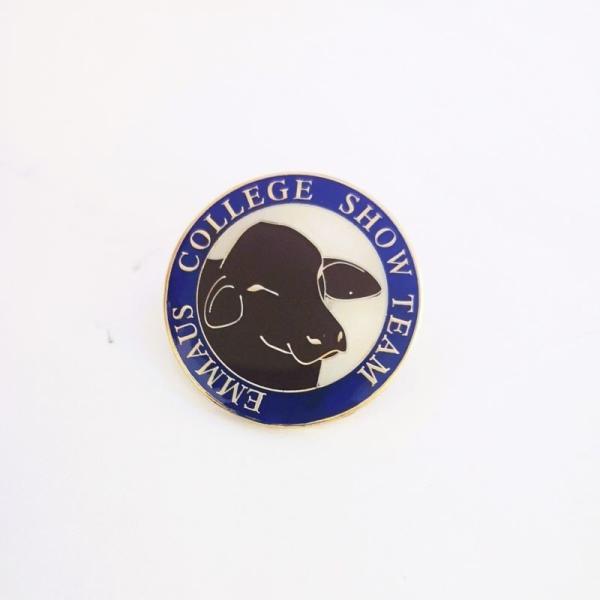 Quality College Theme Epoxy Domed Custom Soft Enamel Pins With Gold Metal Clutch wholesale