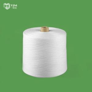 Polyester Spun Raw White Yarn 30s/2 20s/2 40s/2 With Paper Cones