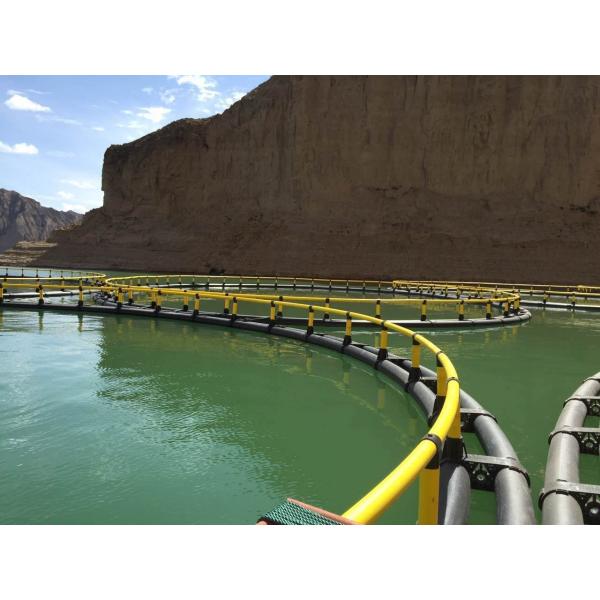 Quality HDPE Floating Fish Farming Cages Customization for Aquaculture Farming Operations wholesale