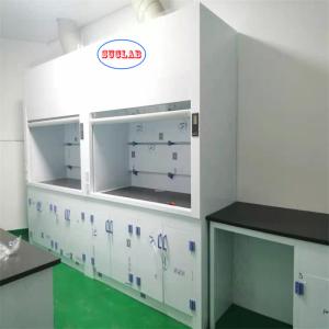 Low-Noise Chemical Fume Hood Lab Fuming Hood with PP Design Safe Laboratory