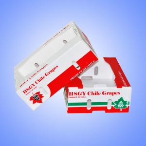 Retail Use Corrugated Plastic Packaging Boxes 380x254x154mm