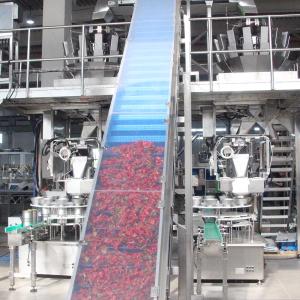 Fully Automatic Pepper Filling Machines Weighing And Filling Machine