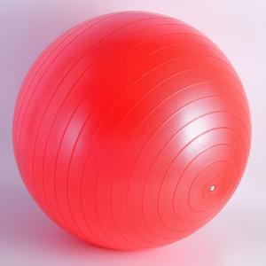 Gravity Heavy Duty Exercise Ball 75cm
