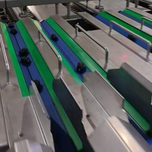 Smart Dates Sorting Machine, High Precision, 6 lanes+10 outlets, 1.8 Tons per