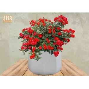 Cheap Frosted Clay Plant Pots Homewares Decorative Items Geometric Flower Pots Garden Pots White Color for sale