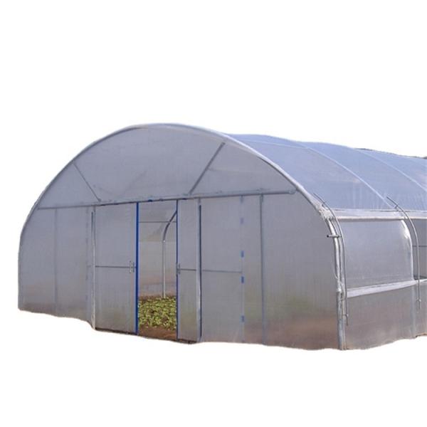 Quality Baolida 10x50m Tunnel Greenhouse with 4.5m Height and 150 Micron PE Film wholesale