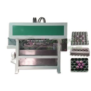 High Capacity Egg Carton Making Machine / Automatic Egg Tray Machinery
