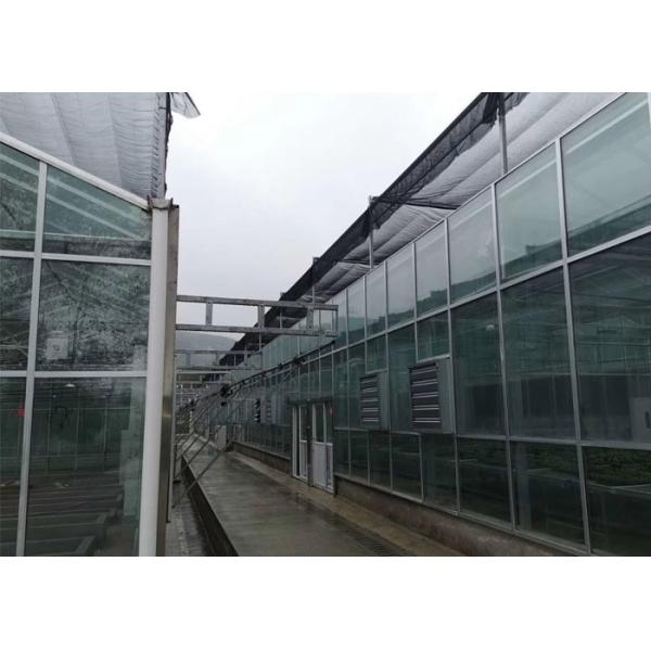 Quality Farm Tempered Glass Greenhouse Hollow Insulated Building Facade High Strength wholesale