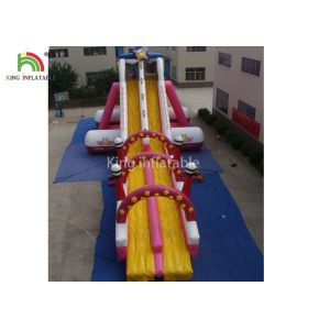 Customized Size Pink PVC Tarpaulin Inflatable Water Slide Outdoor Amusement Park