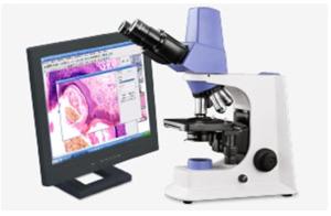 Cheap Smart Digital Optical Microscope Infinity E - Plan Objective Two Slide Holder for sale