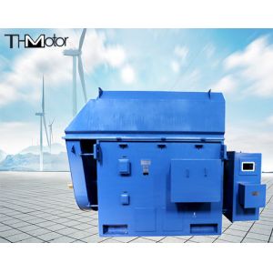 Y900 Y1000 Coal Mining Three Phase Asynchronous High Voltage Electric Motors