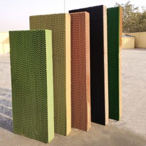 China 7090 L6000*H2000*T150 Automatic Poultry Cooling Pad on sale