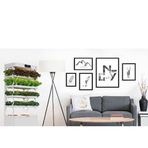 Intelligent Indoor Hydroponic Greenhouse Fodder Container Growing System