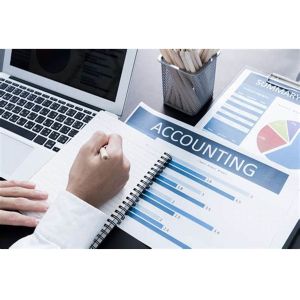 China Financial Information Business Accounting Services Recording Analyzin Interpreting on sale