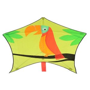 Colorful Special Kites 100*120CM With 30m String Line Fiberglass Frame