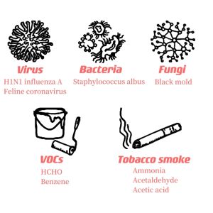 Ceiling Plasma Air Sterilizer 420 M³/H CADR for 100㎡ Spaces