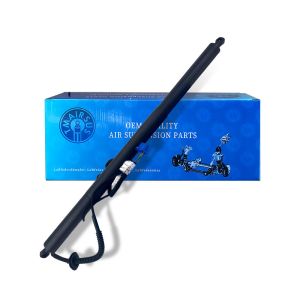 Customizable Fast Sliding Gate Opener 12V Voltage for Smooth and Fast Performanc