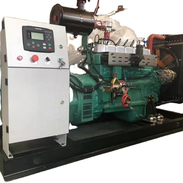 Electrical Start 60kw Water Cooled Natural Gas Generator Set 75kva by CNG PLG