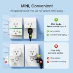 Tuya Smart WiFi Socket 16A Plug with Timing, Power Monitoring, Alexa & Google