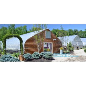 China high quality tunnel single span galvanized arch green houses,Plant Large Walk in Greenhouse with Clear Cover for garden on sale