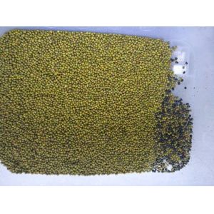 High Sorting Accuracy Coffee Grain Color Sorter Machine Rice Plastic Nut Sorting