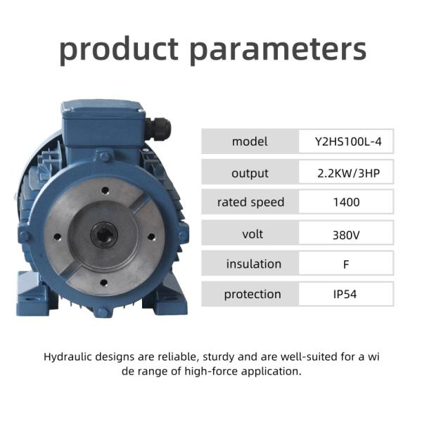 hydraulic motor