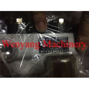 Fuel Injection Pump Wheel Loader Engine Parts Weichai WD10G 612601080591