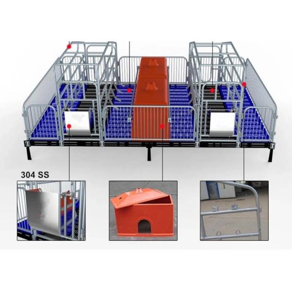 Quality PVC Panel Fence Pig Farrowing Crate / Pig Farrowing Pen Over All Hot Dip Galvanization wholesale