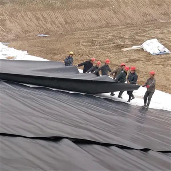 Smooth Surface 0.75mm HDPE Geomembrane for Fish and Shrimp Pond Liner Farming