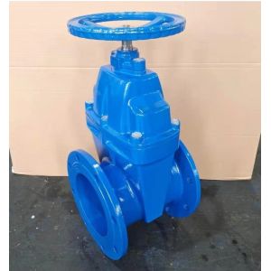 Customized Port Size HT200 Cast Iron Flange Type Gate Valve with Ductile Iron