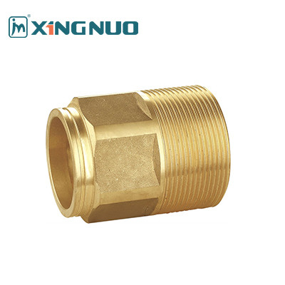 Quality 1/2 3/4 inch female and male threaded valve Compact Brass Check Valve with -10-120 Degree Working Temperature wholesale