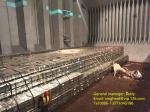 T2/T2.5/T3/T4/T5 Temper Electrolytic Tin Plate Coil Packing Durable