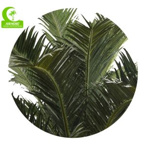 Supplier Height 500cm Artificial Date Palm Tree High Quality Outdoor Tropical
