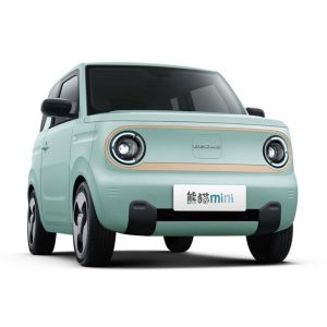 Budget-Friendly Geely Panda Mini EV 1940mm Wheelbase and Maximum Torque 85N.m