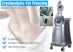 China Weight Loss Cryolipolysis Body Slimming Machine , Fat Burning Equipment Non - Surgical Liposuction on sale