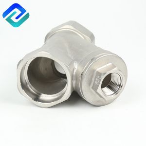 Wcb A216 Y Pattern Strainer Stainless Steel Spring Check Valve