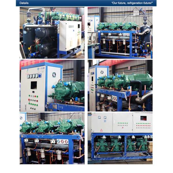 R404a Air Cooled Screw Chiller Tuna Fish -50 Centigrade Cooling