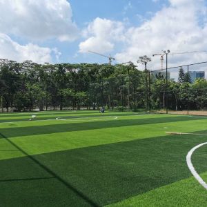 High-Density PE Material Artificial Soccer Lawn with 40-60mm Pile Height and 8