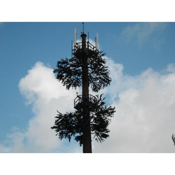 Quality Community Camouflage Cell Tower Pine Tree Communication wholesale
