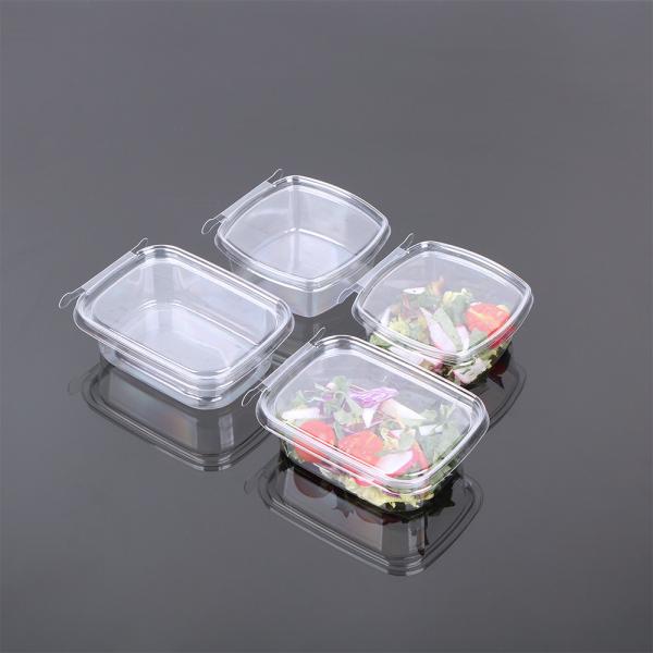 Disposable PET RPET 5oz Plastic Sauce Container Clear Hinged Tamper Proof