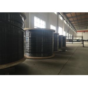 Encapsulated Tubing Hydraulic Control Line And Chemical Injection Line