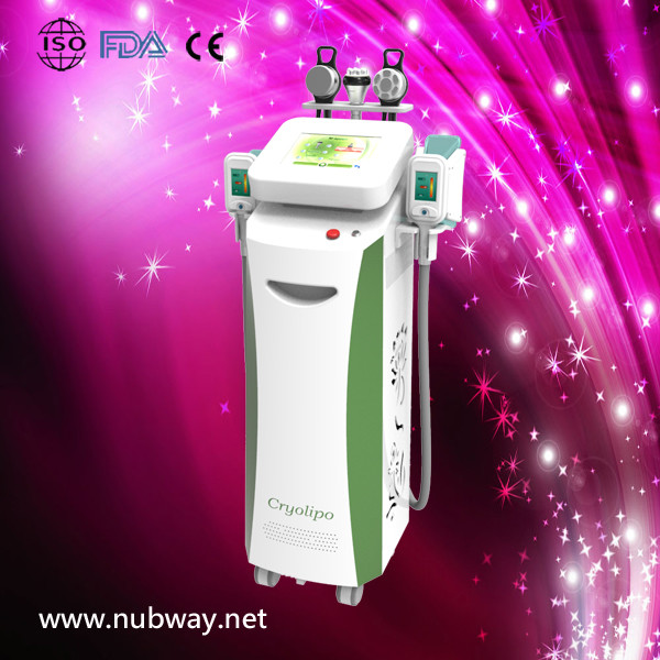 Quality 3 years warranty kryolipolyse cryolipolysis slimming sculpting liposuction cryo cryolipolise slimming machine wholesale