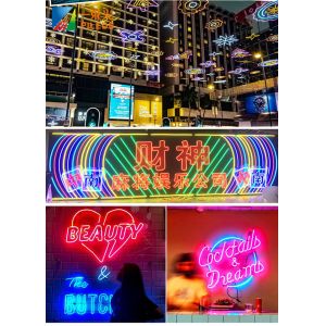 Silicon LED Strip Neon Flex Rope Light Ip67 Waterproof DC12V DC24V